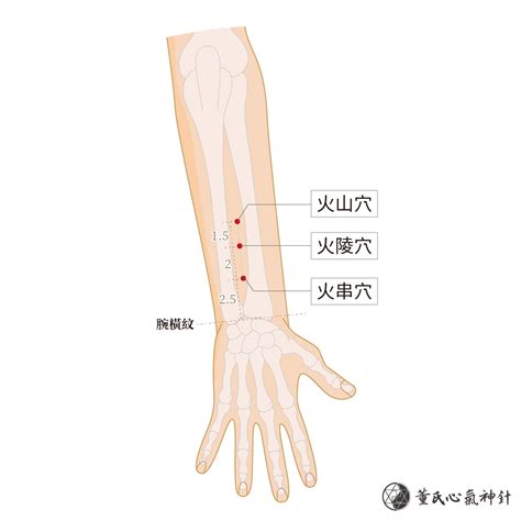 火串穴|董氏針灸